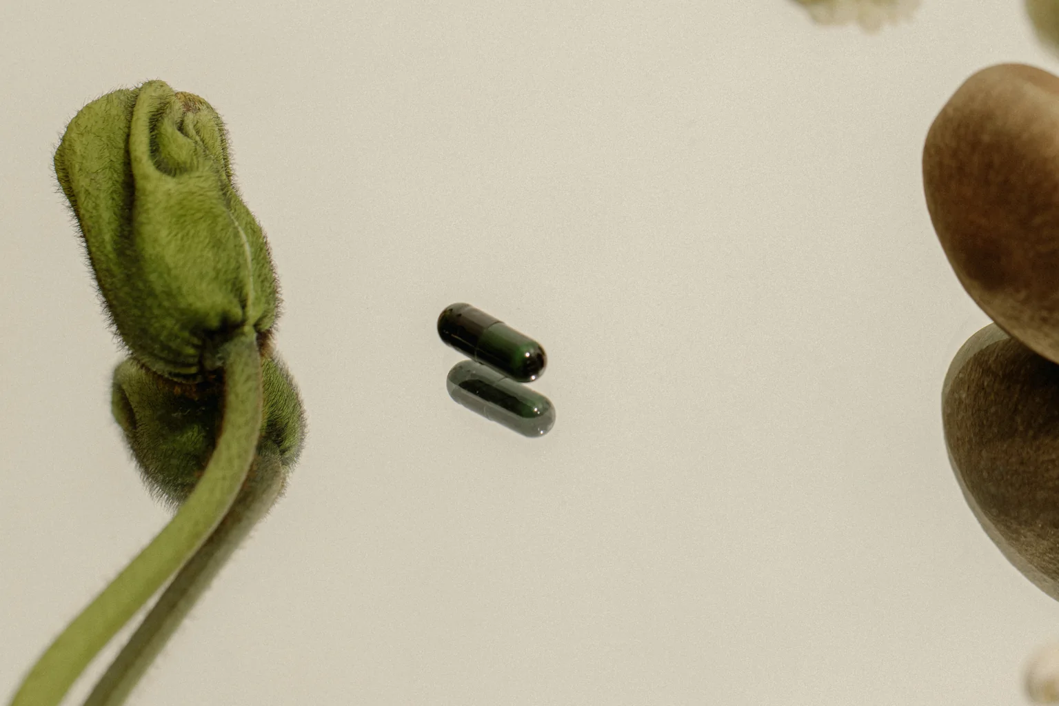 Fresh mushrooms, a green stem and two capsules on a pale surface