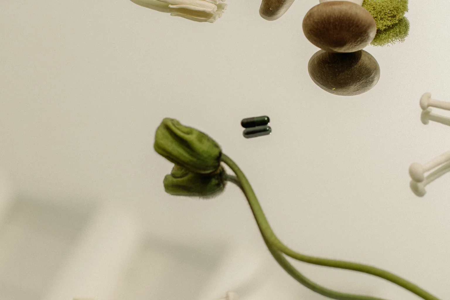 Fresh mushrooms, a yellow orchid and capsules arranged on a mirror