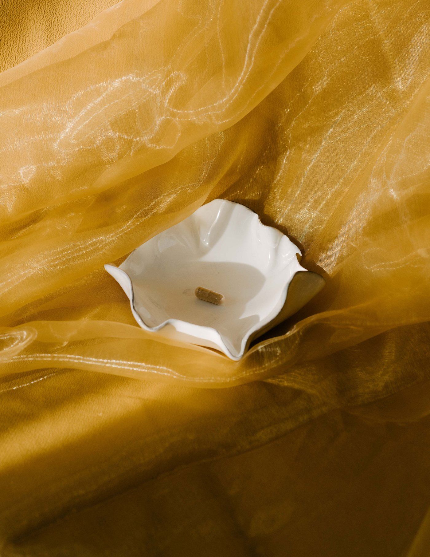 A magic mushroom microdose capsule