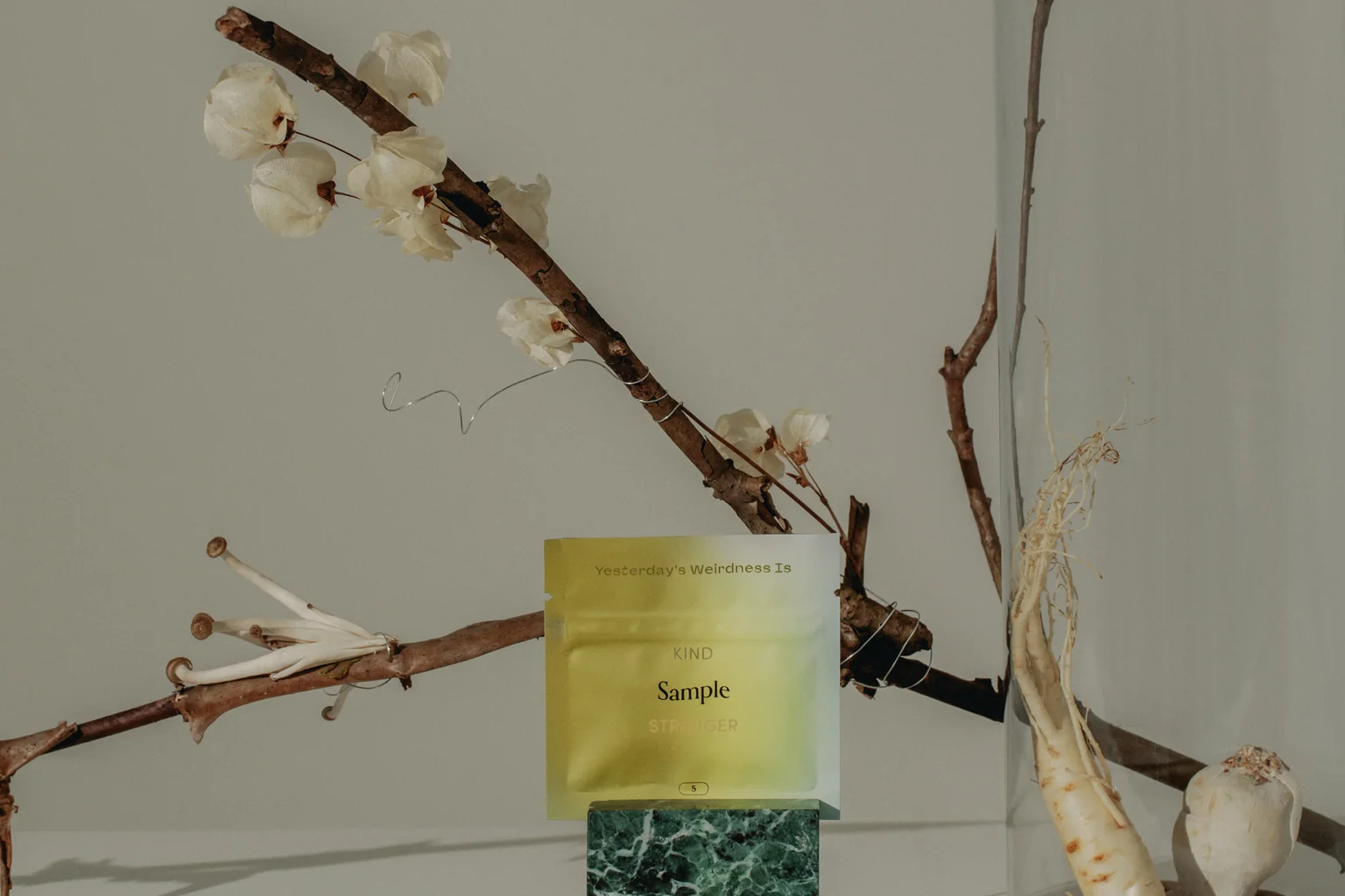 A Kind Stranger sample pack in a still life with dried branches and a glass vase.