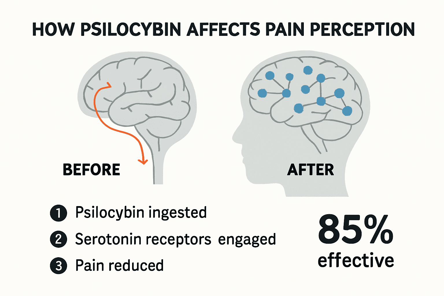 Psilocybin for Chronic Pain: Natural Relief Options Explained, KIND STRANGER