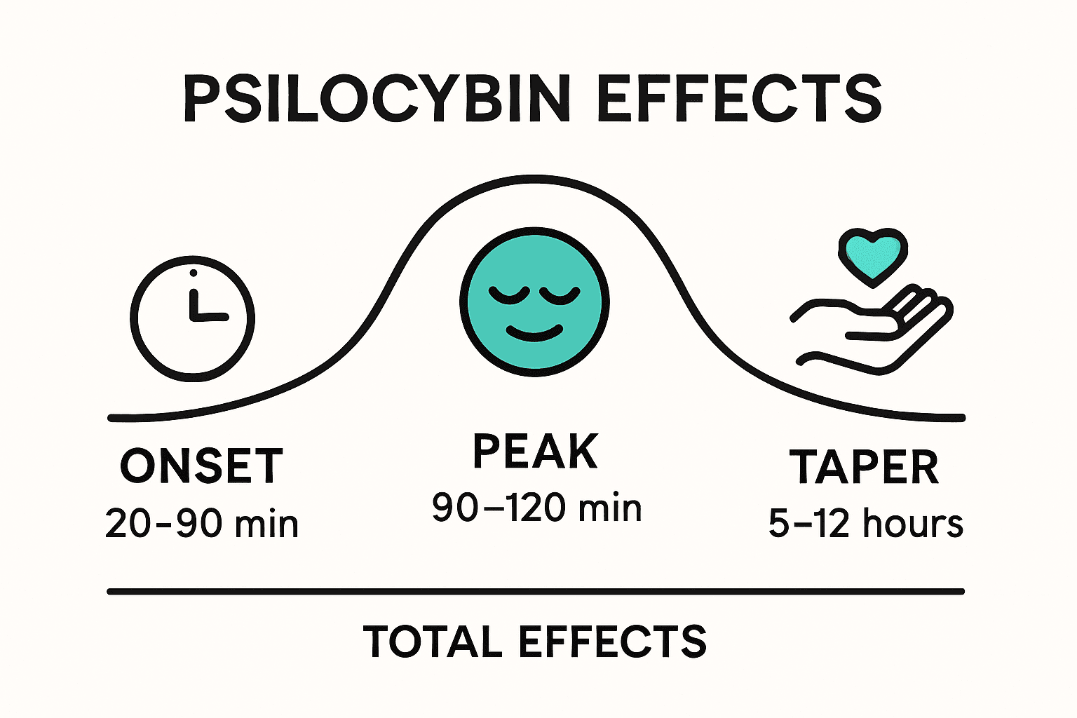 How Long Does Psilocybin Last? Effects, Microdosing & More, KIND STRANGER