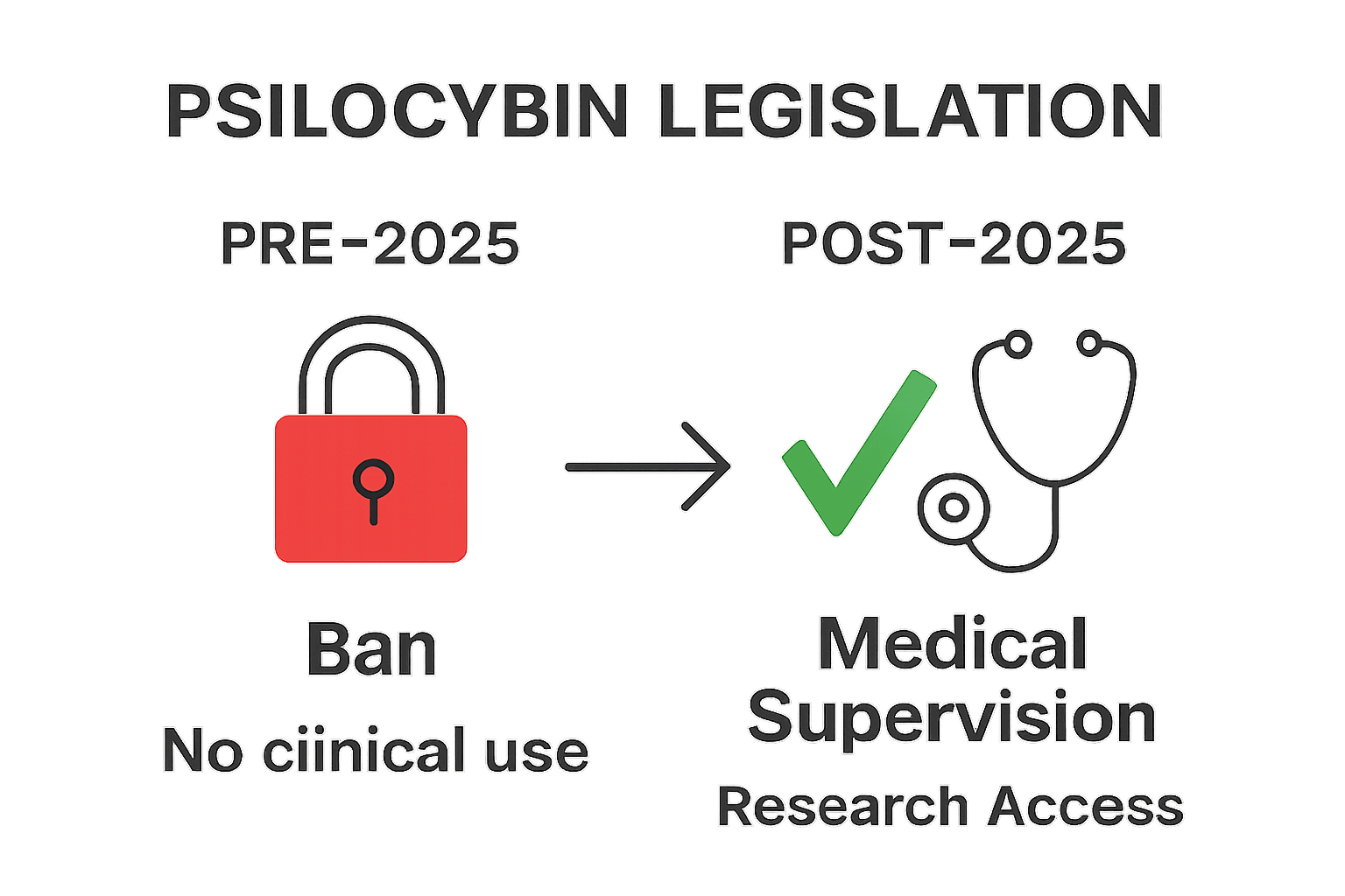 Understanding Psilocybin Legislation Updates 2025, KIND STRANGER