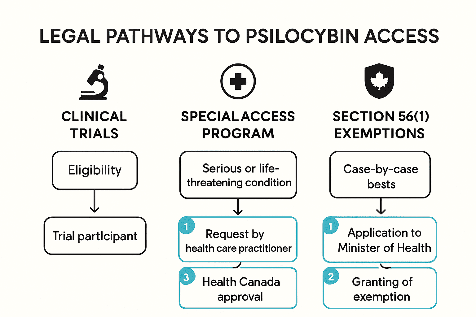 Psilocybin for Focus: Boosting Mental Clarity in 2026, KIND STRANGER