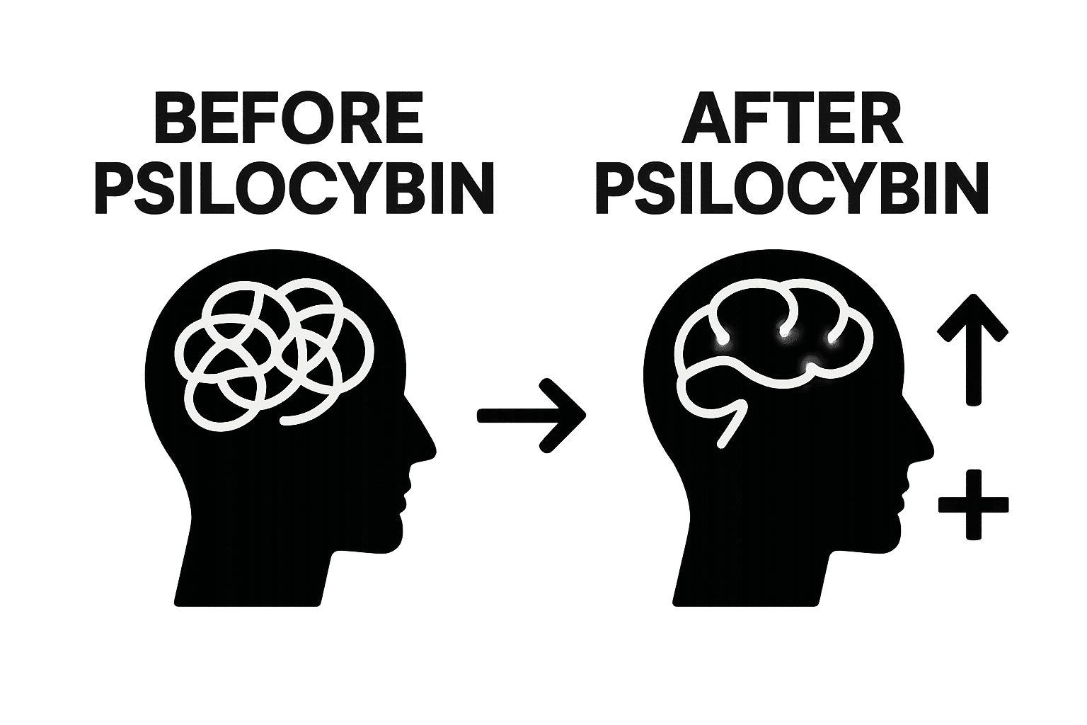 Understanding Psilocybin and Long-Term Effects on Wellness, KIND STRANGER