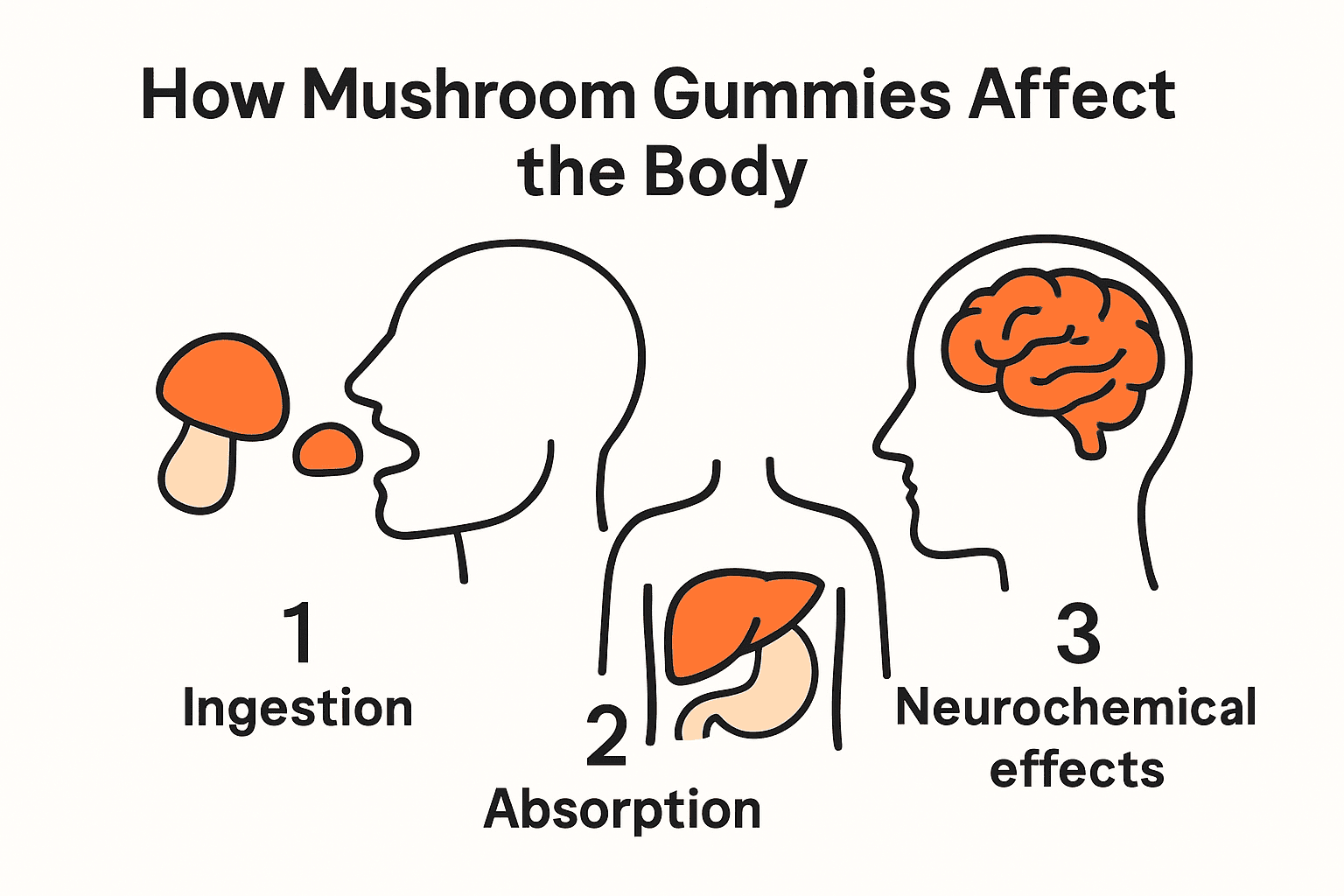 Mushroom Gummies Effects: What to Expect in 2026, KIND STRANGER