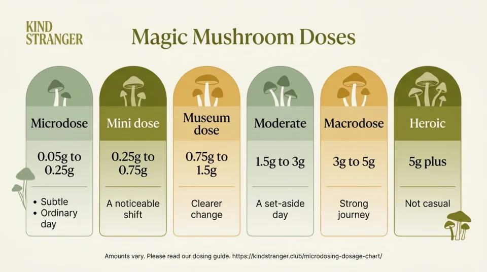 Kind Stranger magic mushroom doses