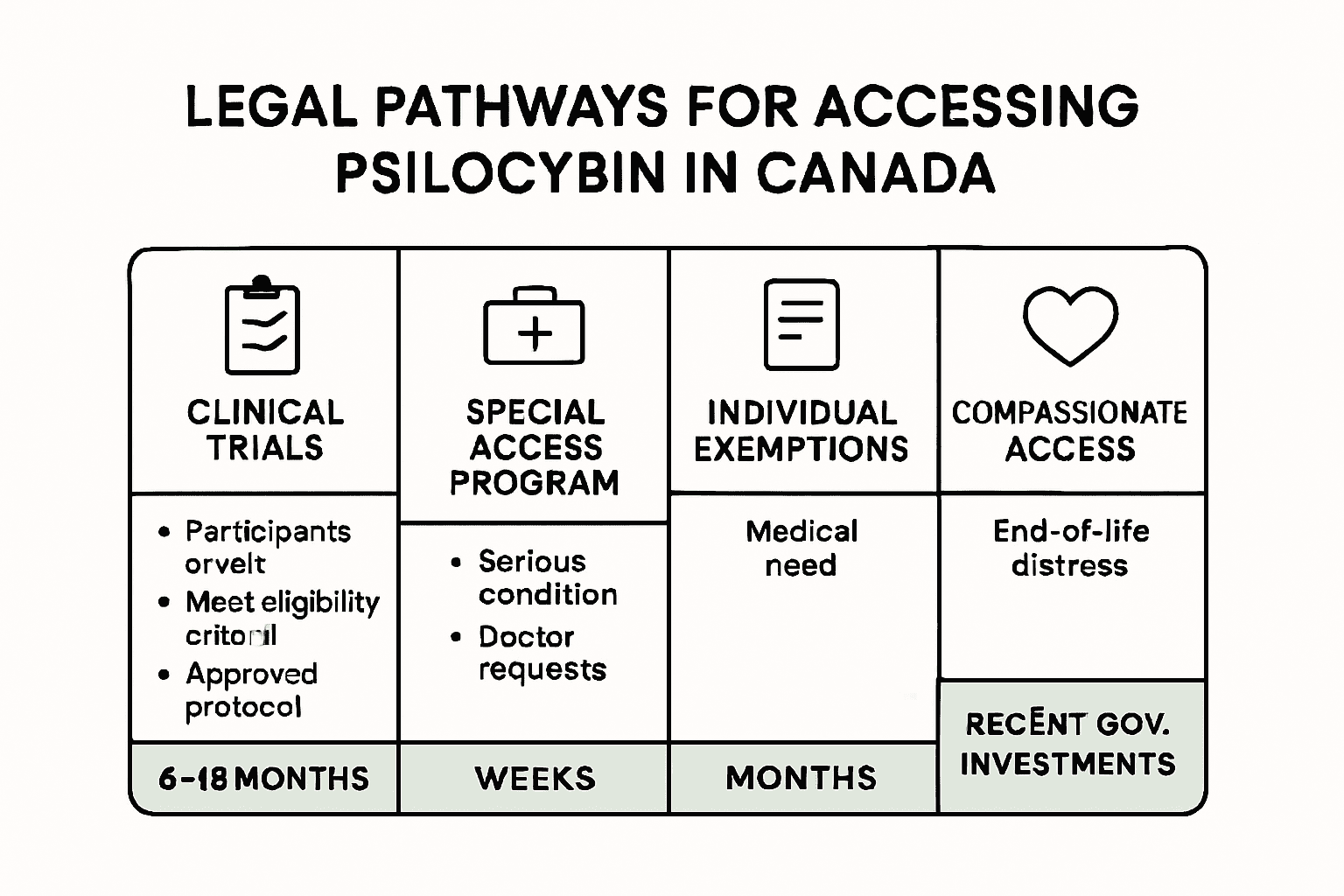 Psilocybin and Meditation: Natural Wellness in 2025, KIND STRANGER