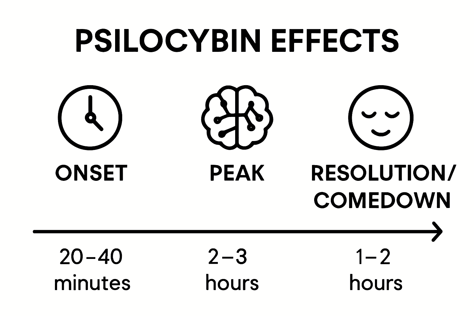 Understanding the Psilocybin Effects Timeline, KIND STRANGER